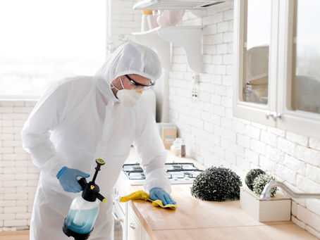 Best Pest Control Service in Ahmedabad Near You