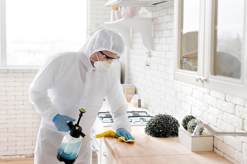 pest control in ahmedabad