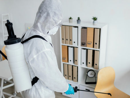 Pest Control in Ahmedabad: Protecting Your Family and Pets Safely