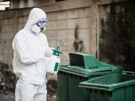 Say Goodbye to Pests: Affordable and Effective Pest Control in Ahmedabad