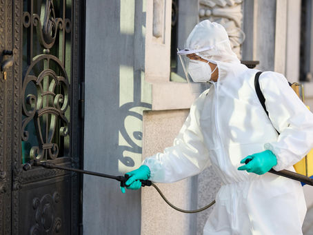 The Growing Need for Pest Control Services in Ahmedabad: What You Need to Know
