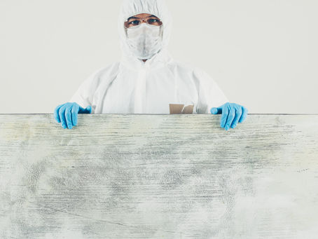 The Environmental Impact of Pest Control Services in Ahmedabad