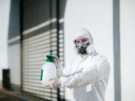 The Hidden Costs of Ignoring Pest Control in Ahmedabad
