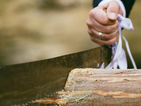 The Ultimate Guide to Wood Borer Treatment for Homeowners