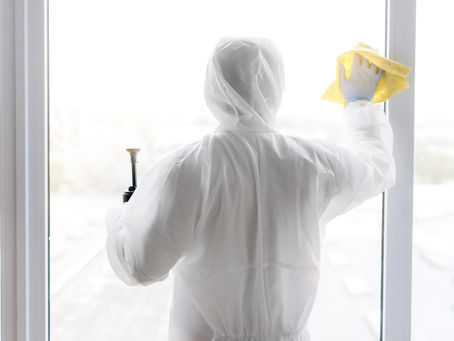 Why Professional Pest Control Services in Ahmedabad Are Worth It