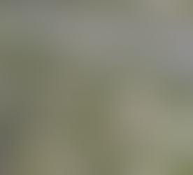 Article 15 - Édition spéciale | Les citoyens au service de la science | Sciences participatives, G3E