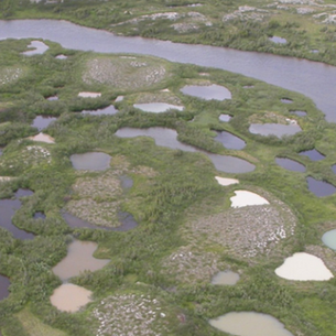 Article 15 - Édition spéciale | Les citoyens au service de la science | Sciences participatives, G3E