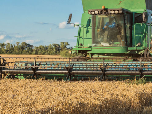 Article 22: Le casse-tête des résidus agricoles et forestiers
