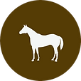 producten voor het paard