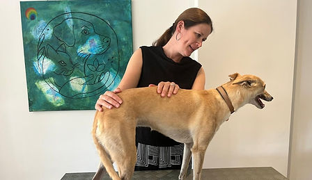 Holistic Pet Academy