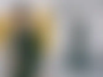 The8 de SEVENTEEN se convierte oficialmente en embajador de la marca Louis Vuitton y se une a Top Idols