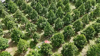 DJI_20240821095150_0017_D.webp