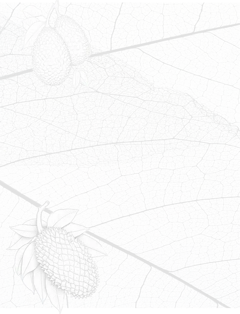 bg03.webp