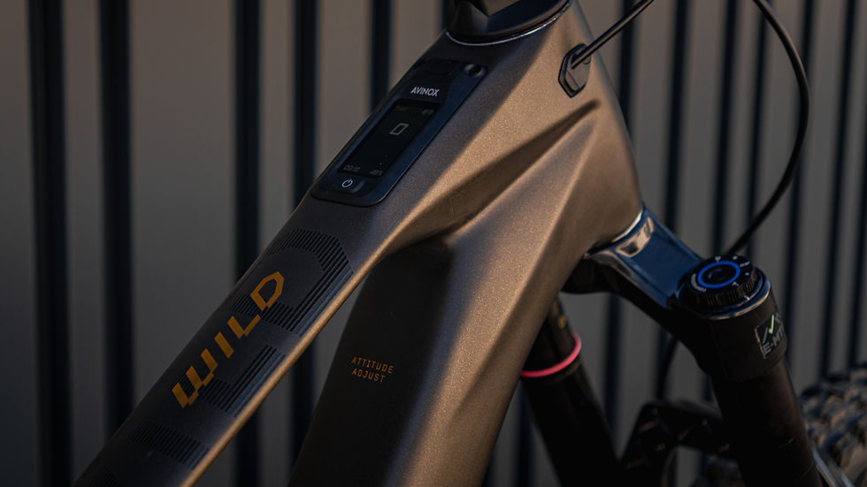 Miniaturbild: Orbea, Wild LT M20, M, Cosmic Brown, 2027