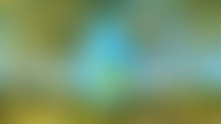 What is SLIT - and how does it work?