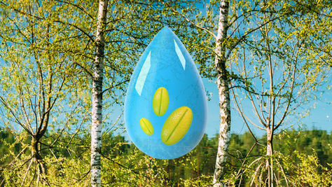 What is SLIT - and how does it work?