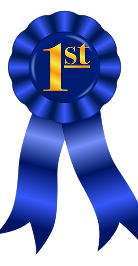 blue ribbon.png