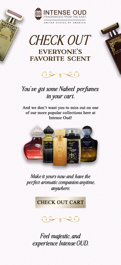 Intense-OUD---Browse-Abandonment-(Nabeel-Variation)