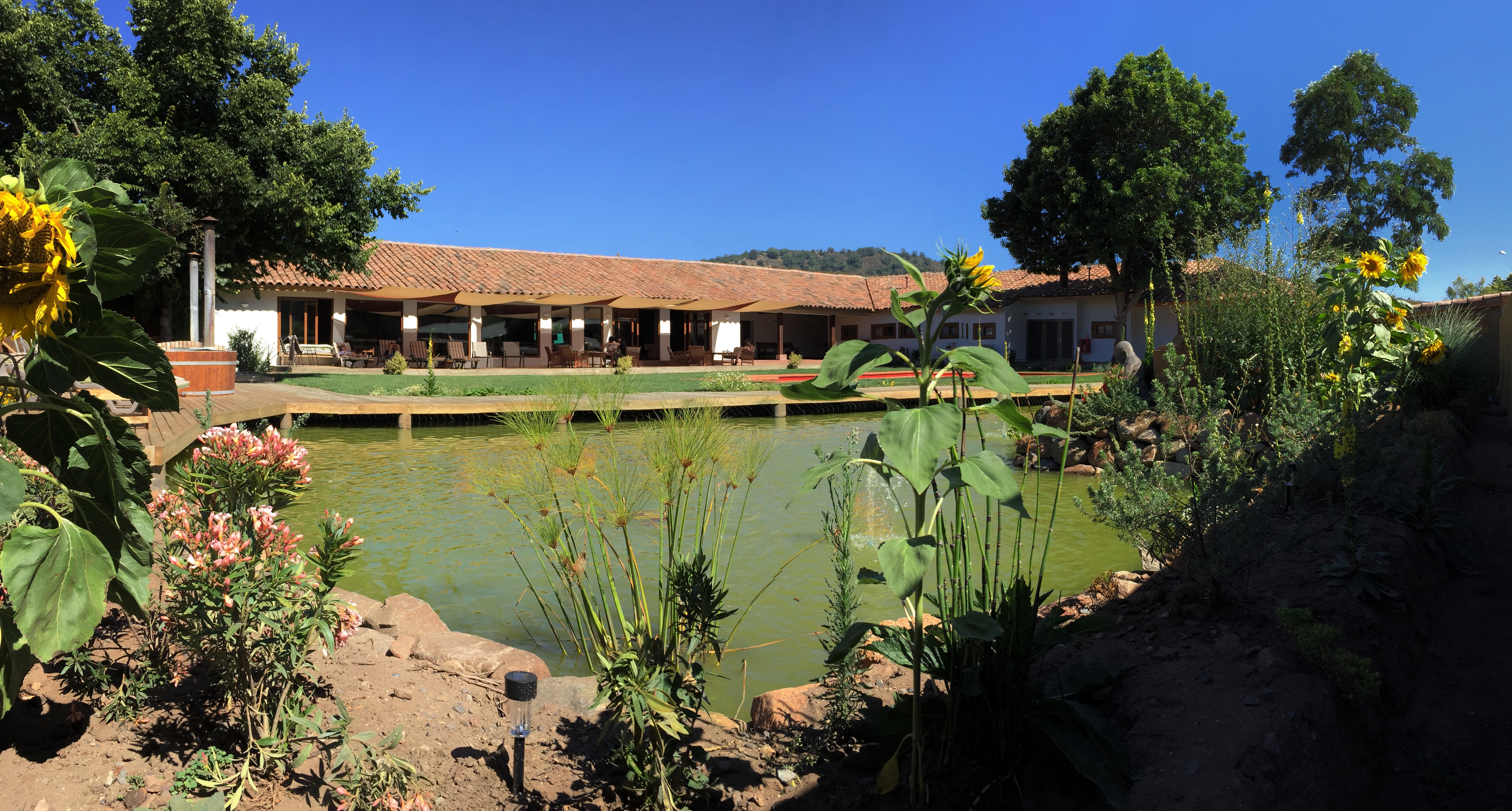 Jardines con Laguna