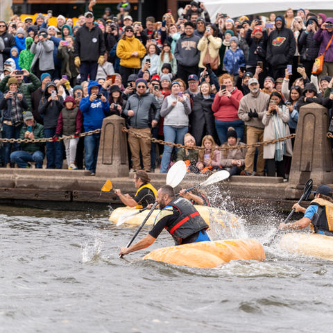 Pumpkin Regatta