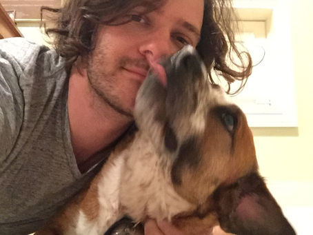 Stray Pet Awareness And My Best Friend Dodger