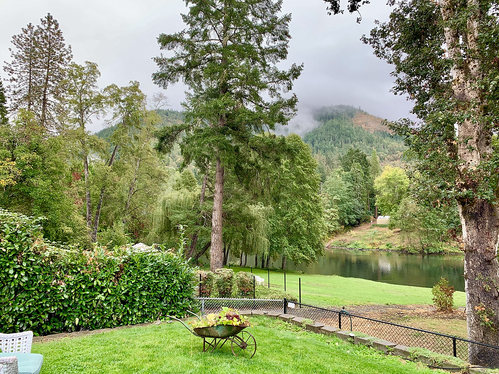 A beautiful fenced-in yard makes vacationing with my dog easy