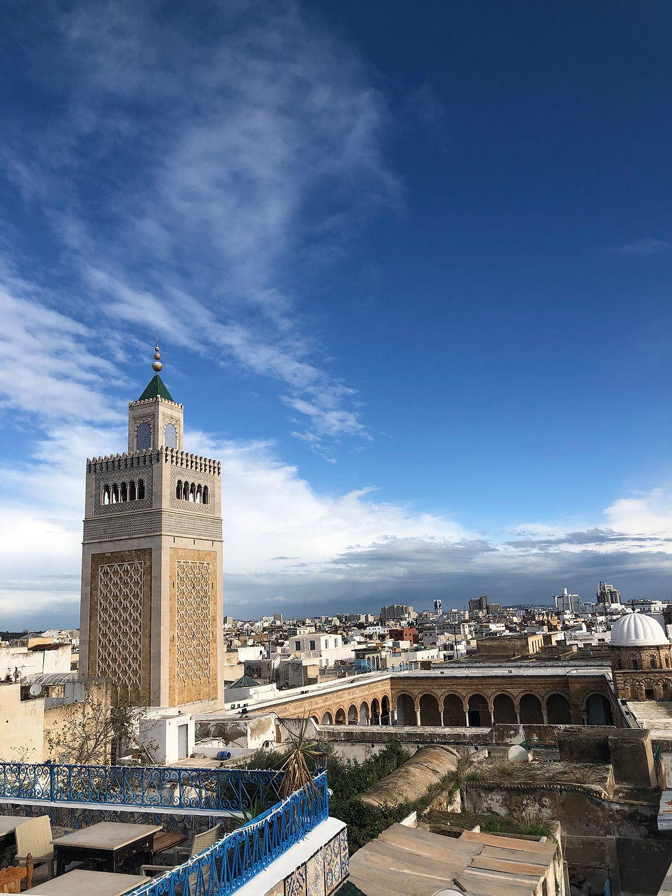 One of the many rooftop views of Tunis' Medina