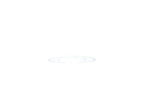 綠頭鴨.gif