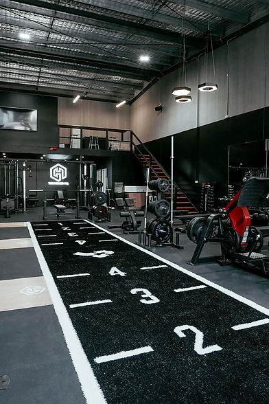 Aesthetic Commercial Gym.jpg