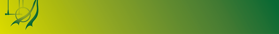 banner verde.png