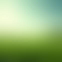 مشروع أضحى صافٍ نقيّ لحماية البيئة خلال عيد الأضحى