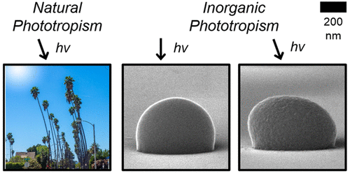 Inorganic phototropism in electrodeposit