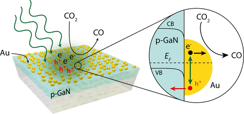 Hot hole collection and photoelectrochem