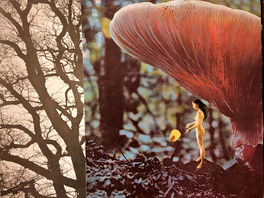 Entranced by Interbeing & Belonging