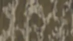 MossyOakStore_2880x1620_OG_Bottomland.webp