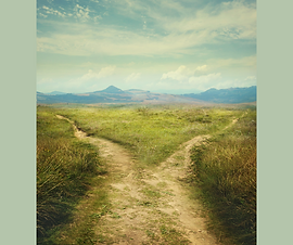 The Road Taken