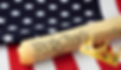 The Estates General in America
 | Aletheia Today