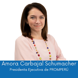 Ponentes (1).png