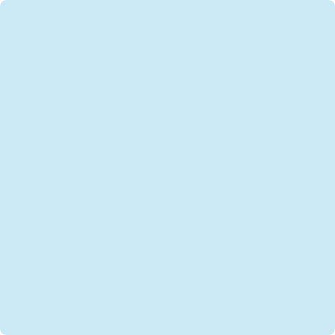 IMG_2419.jpeg