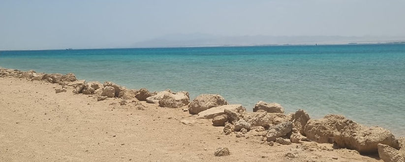 WhatsApp Image 2023-06-23 at 14.55_edited.jpg