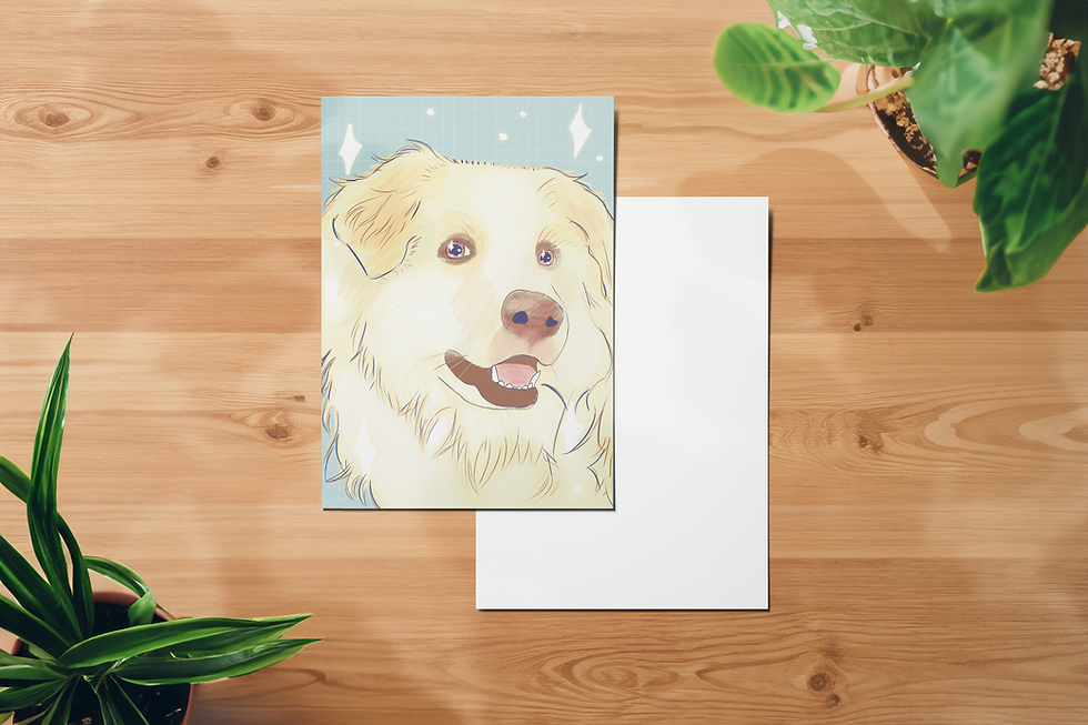 carte postale recto verso