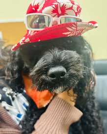 8D3E54C6-257B-4C29-A31B-930EAE453F87 (1).heic