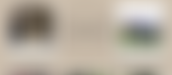 End of the Year Recap - Supporting Growth Through Hive Sponsorships