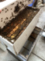 Photo: A peak inside one of our nucs from ealier in the year. This hive has since exploded and started two hives of it's own since then!