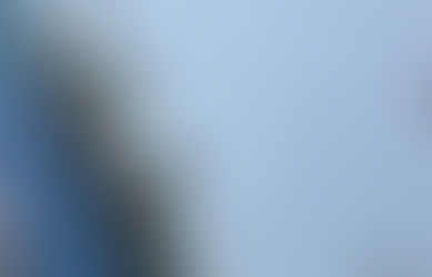 Wildflowers in the Fall