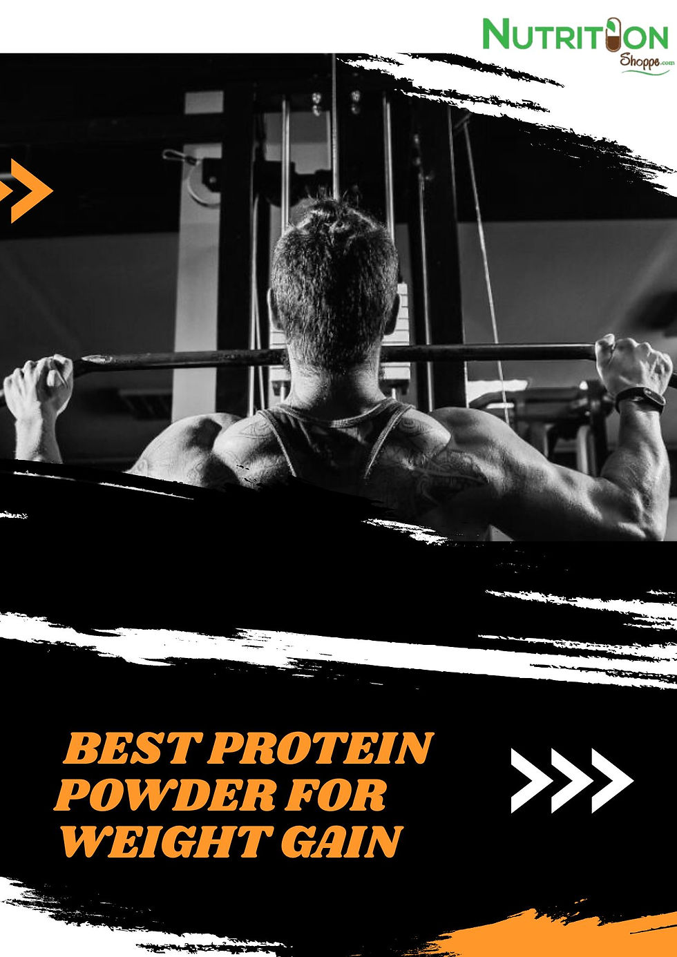 Best Protein Powder For Weight Gain