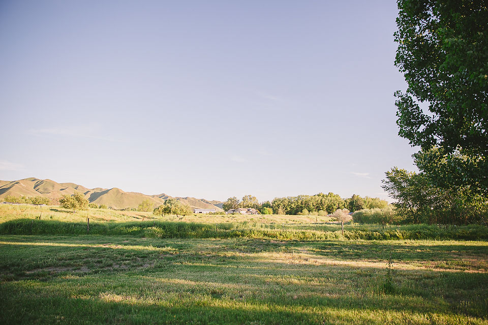 Destination Wedding Photographer | Idaho | Closer to Love Photography