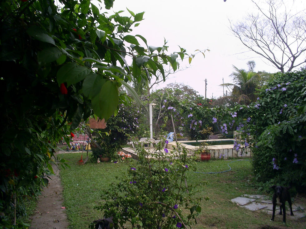 S5022619.JPG