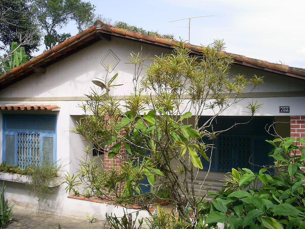S5022595.JPG