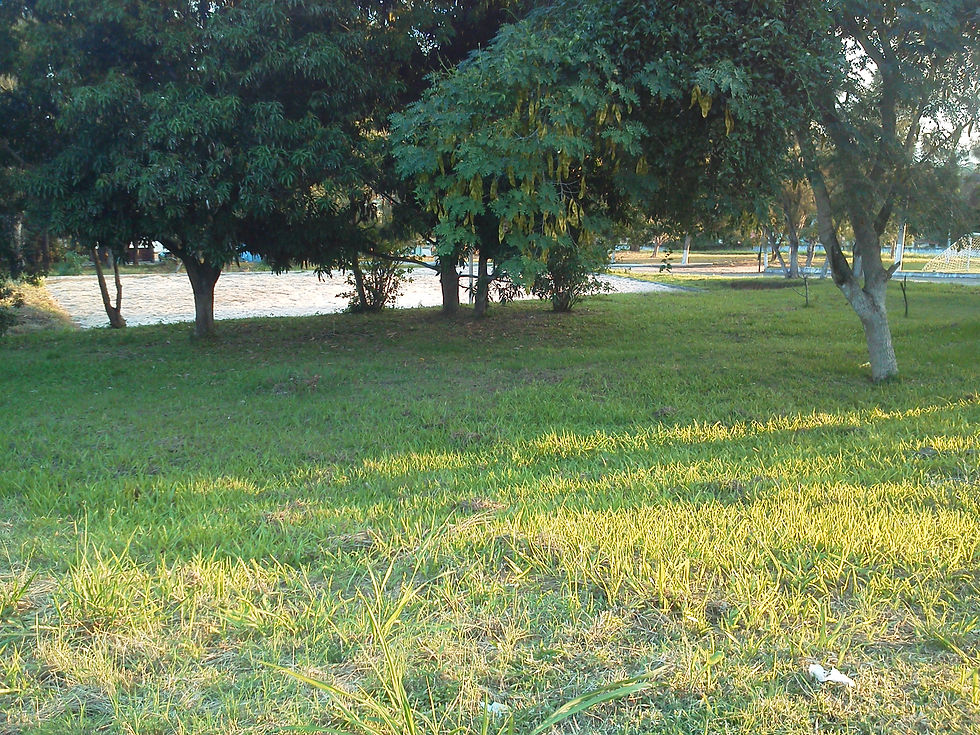 IMG_20130607_163338.jpg